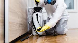 Best Real Estate Pest Inspections  in Bayou Lourse, LA